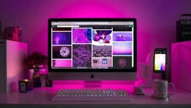online casino platform microstar88