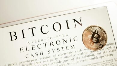 backlink campaign visibility boost