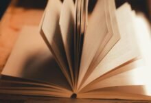 internal linking strategy insights