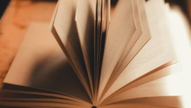 internal linking strategy insights